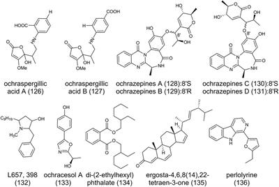 The Secondary Metabolites and Biosynthetic Diversity From Aspergillus ochraceus